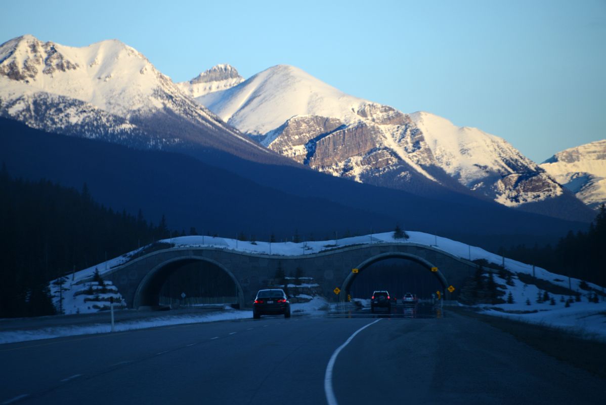 17A Fairview Mountain, Mount Niblock, Mount St Piran Early Morning From Trans Canada Highway Between Castle Junction And Lake Louise in Winter